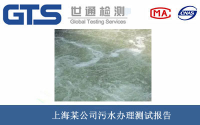 污水测试报告