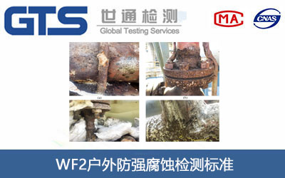 WF2户外防强腐蚀检测