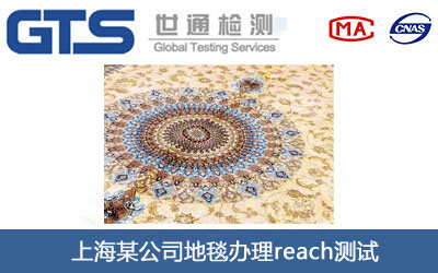 地毯reach测试